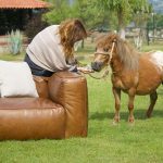 mali konj sa ženom i kožna sofa s jastucima